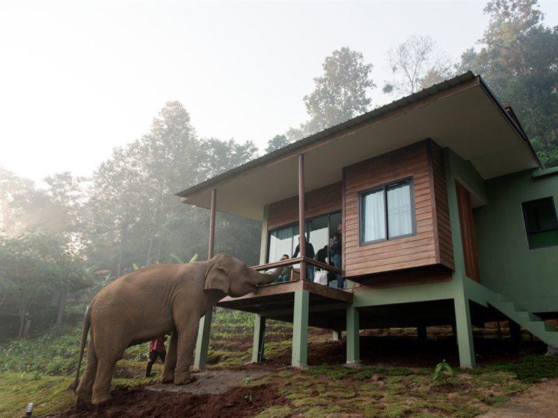 Chiang Mai Elephant Friends Экстерьер фото